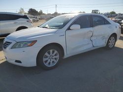 Toyota salvage cars for sale: 2009 Toyota Camry Hybrid