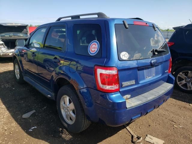 2008 Ford Escape XLT