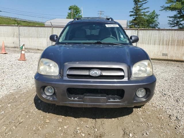 2006 Hyundai Santa FE GLS