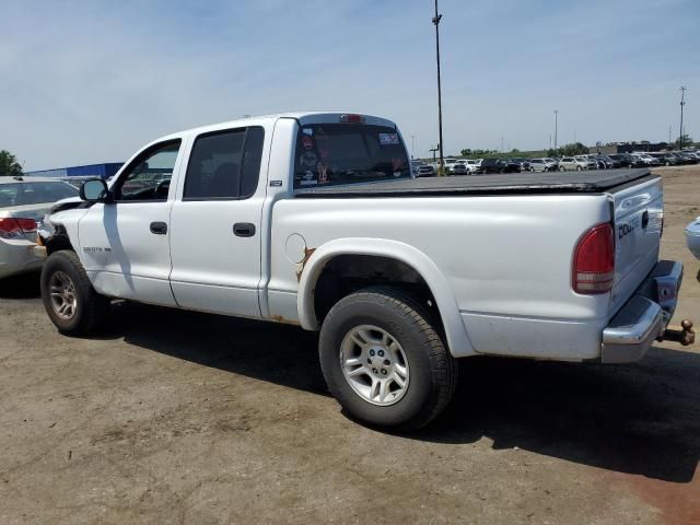 2001 Dodge Dakota Quattro