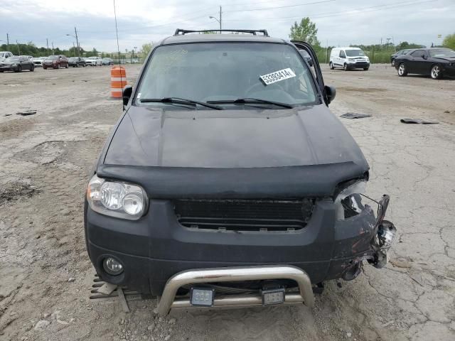 2005 Ford Escape XLT