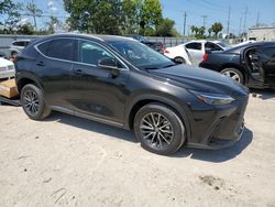 Vehiculos salvage en venta de Copart Riverview, FL: 2024 Lexus NX 250 Premium