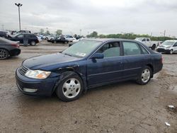 Toyota salvage cars for sale: 2003 Toyota Avalon XL