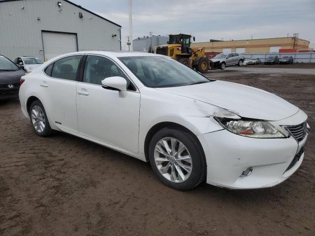 2013 Lexus ES 300H