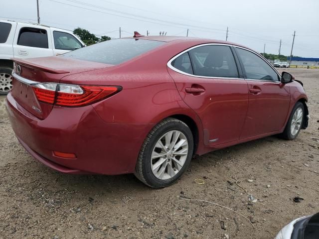 2014 Lexus ES 300H