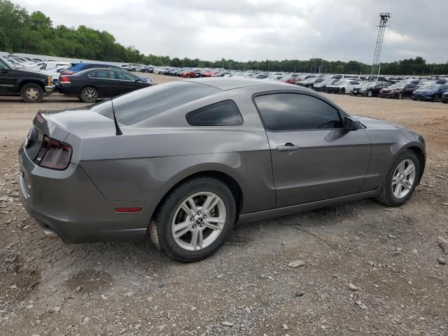 2013 Ford Mustang