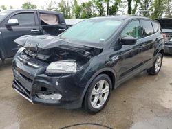 Ford salvage cars for sale: 2015 Ford Escape SE