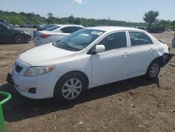 Toyota Vehiculos salvage en venta: 2010 Toyota Corolla Base