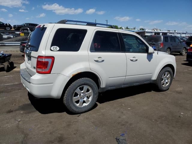 2011 Ford Escape Limited