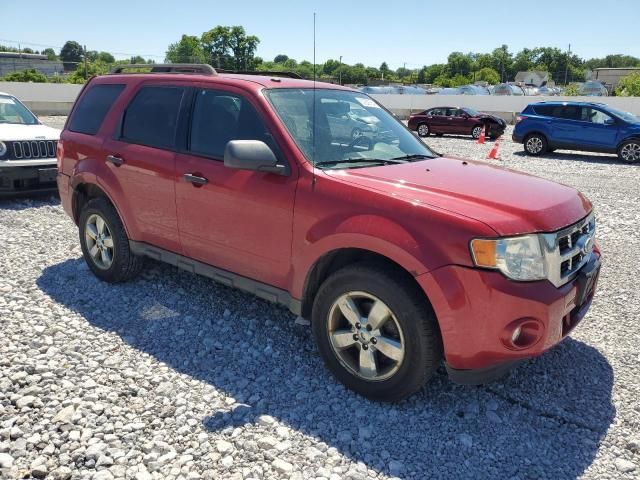 2010 Ford Escape XLT