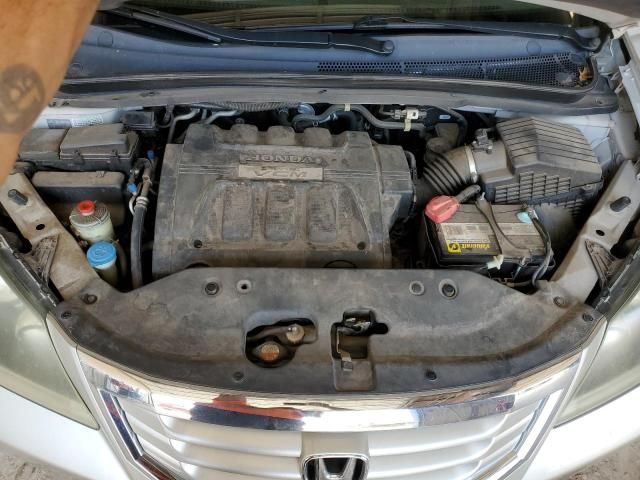 2008 Honda Odyssey EXL