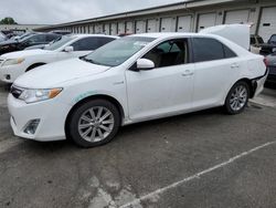 2014 Toyota Camry Hybrid for sale in Louisville, KY