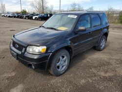 Salvage cars for sale from Copart Montreal Est, QC: 2005 Ford Escape Limited