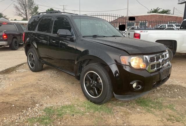 2010 Ford Escape XLT