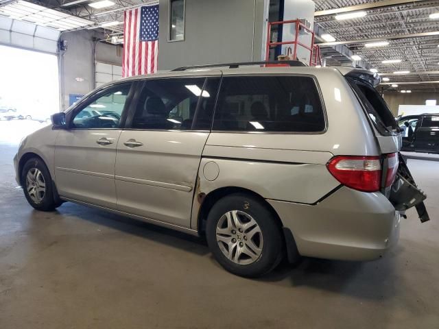 2005 Honda Odyssey EXL