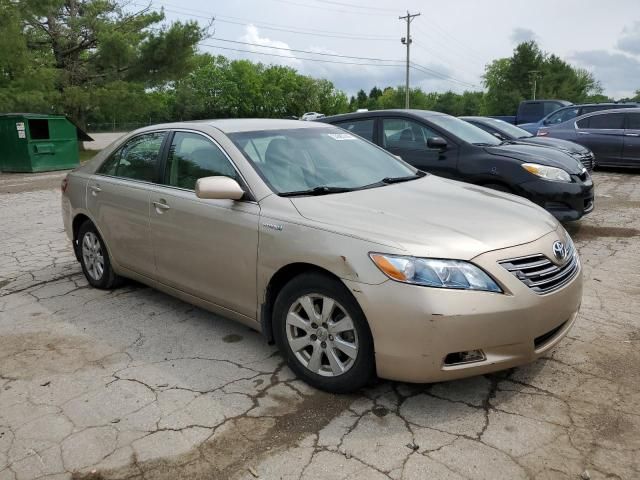 2008 Toyota Camry Hybrid