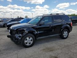 Salvage cars for sale from Copart Indianapolis, IN: 2009 Ford Escape XLT