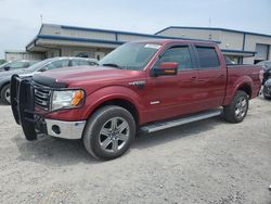 2013 Ford F150 Supercrew for sale in Earlington, KY