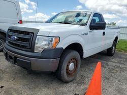 2013 Ford F150 for sale in Mcfarland, WI