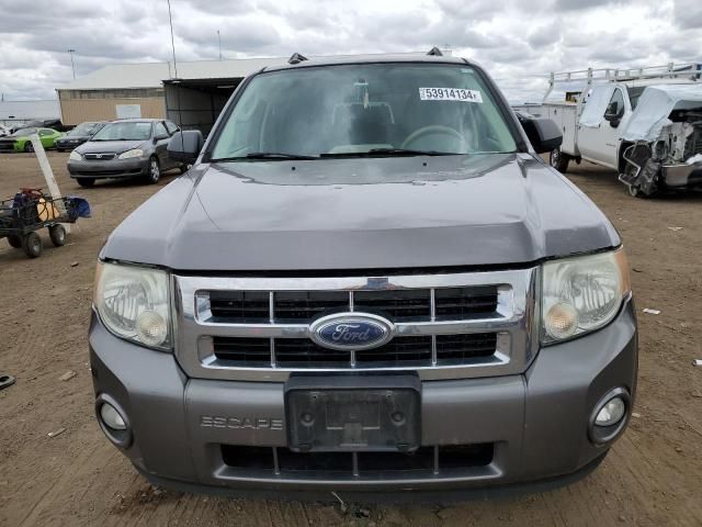 2009 Ford Escape XLT