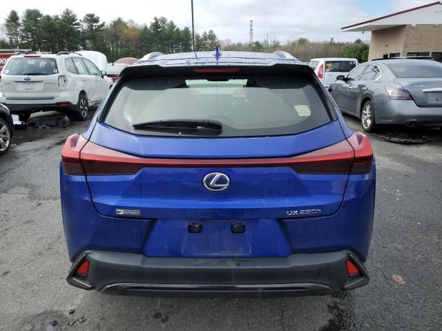 2019 Lexus UX 250H