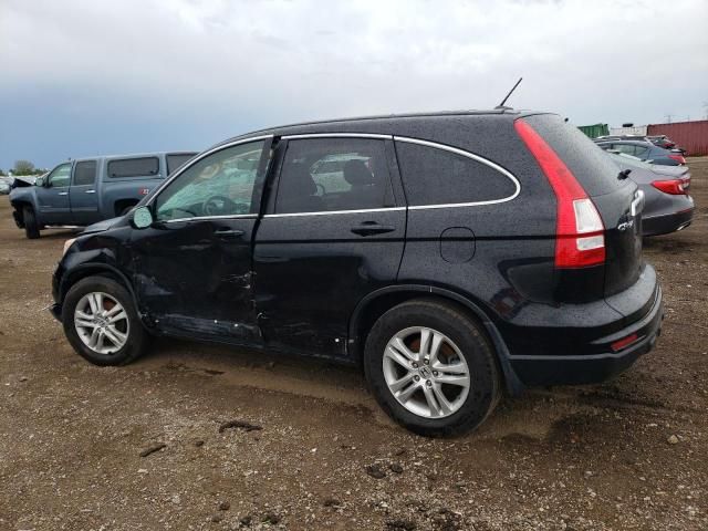 2010 Honda Cr-v exl