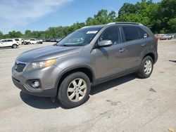 Salvage cars for sale from Copart Ellwood City, PA: 2011 KIA Sorento Base