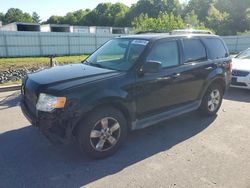 Ford Vehiculos salvage en venta: 2010 Ford Escape Limited