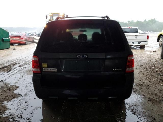 2008 Ford Escape XLT