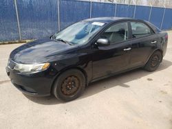 Salvage cars for sale from Copart Moncton, NB: 2013 KIA Forte EX