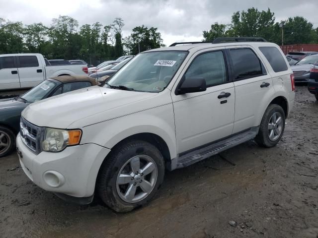 2010 Ford Escape XLT