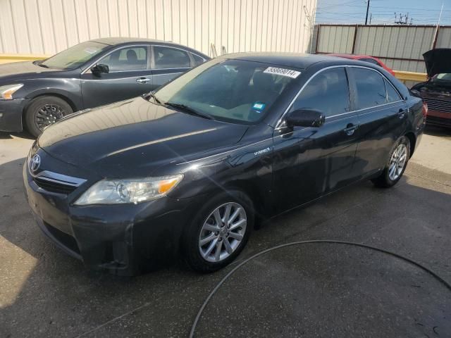 2010 Toyota Camry Hybrid