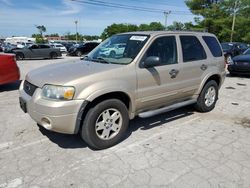 2007 Ford Escape XLT en venta en Lexington, KY