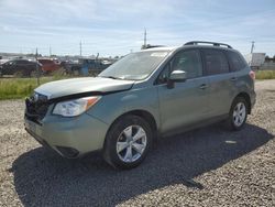 Subaru Vehiculos salvage en venta: 2015 Subaru Forester 2.5I Premium