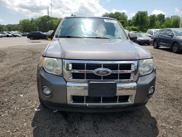 2010 Ford Escape Limited