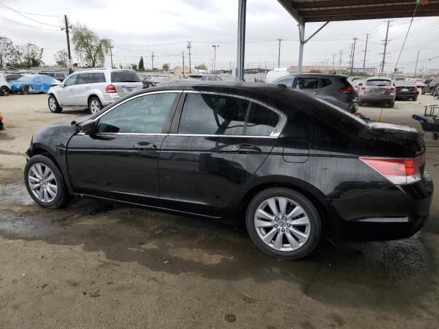 2011 Honda Accord EXL