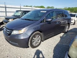 Salvage cars for sale from Copart Louisville, KY: 2016 Honda Odyssey SE