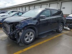 2015 Toyota Rav4 XLE for sale in Louisville, KY