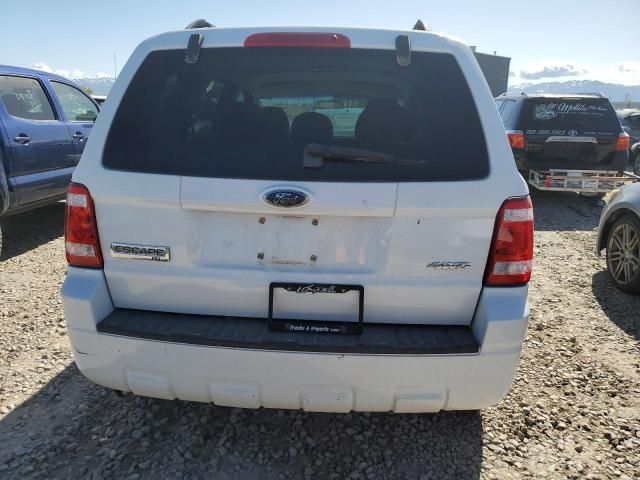 2008 Ford Escape XLT