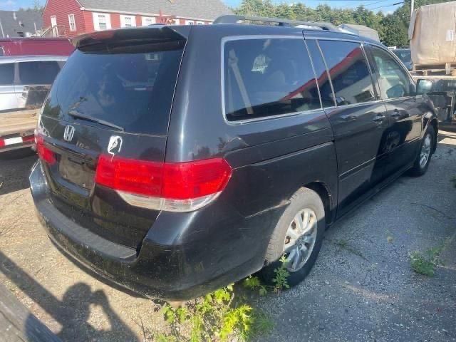 2008 Honda Odyssey EXL