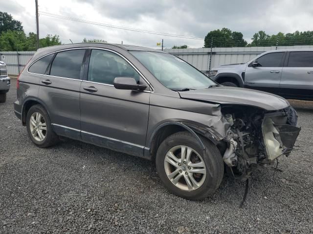 2010 Honda CR-V EXL