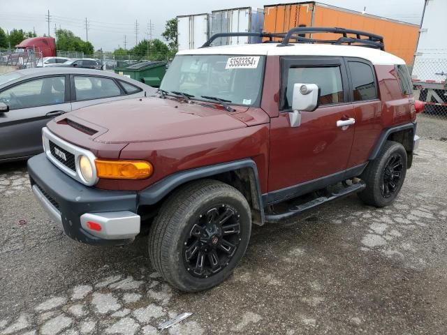 2010 Toyota FJ Cruiser