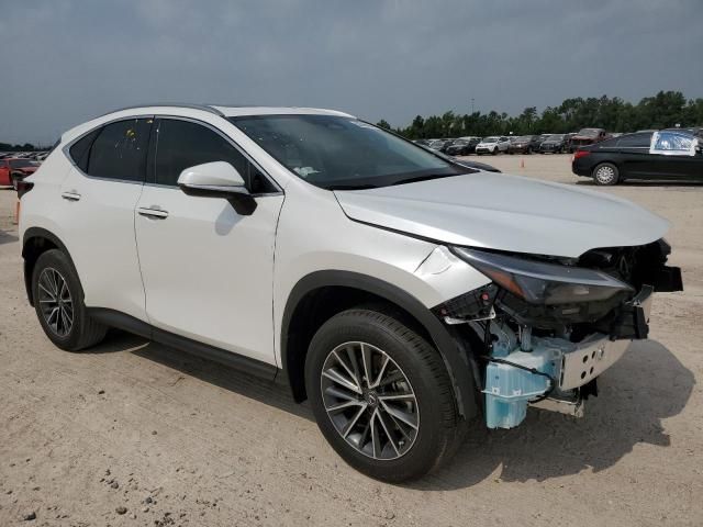 2024 Lexus NX 250 Premium