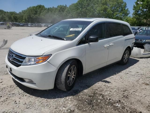 2011 Honda Odyssey EXL