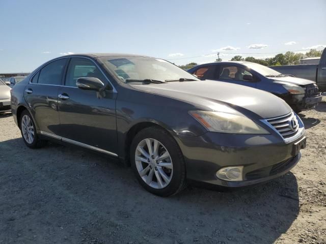 2010 Lexus ES 350