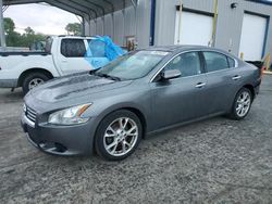 Nissan Maxima s salvage cars for sale: 2014 Nissan Maxima S