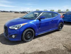 2014 Hyundai Veloster Turbo for sale in Rocky View County, AB