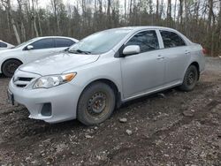 Toyota salvage cars for sale: 2011 Toyota Corolla Base