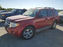 Ford Vehiculos salvage en venta: 2011 Ford Escape XLT