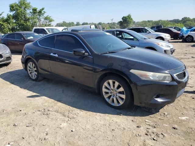 2009 Honda Accord EXL